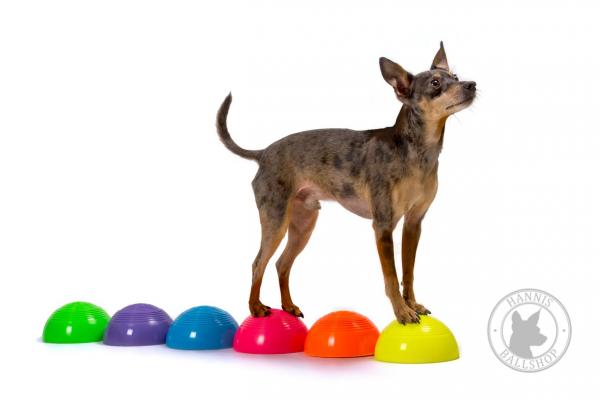 Halb-Ball hart, 6 Stück